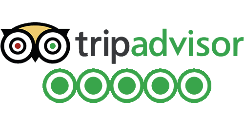 TripAdvisor Reviews Logo