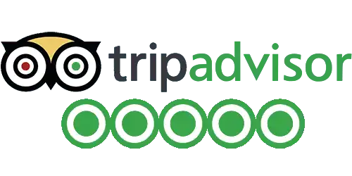 TripAdvisor reviews logo 